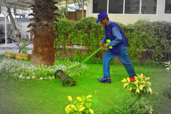 horticulture-services
